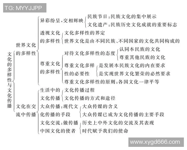 奥林匹克运动会的历史传承与全球体育文化的深远影响