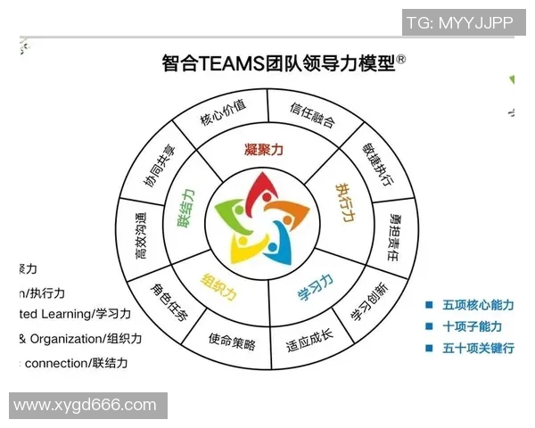 以规则为核心探讨如何构建高效的团队合作与沟通机制