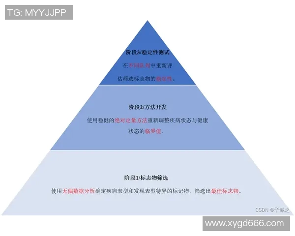 提升心肺功能的综合训练方法与健康管理策略探索