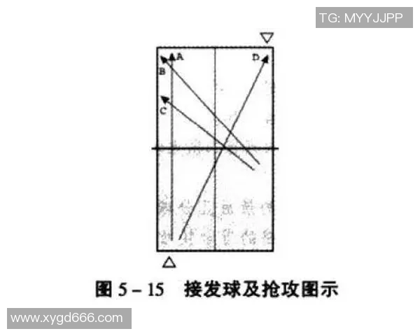 上海乒乓球队快攻战术解析与实战应用探讨