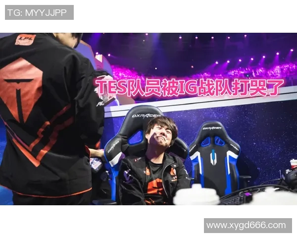 TES战队包夹战术分析与成败得失的深度剖析