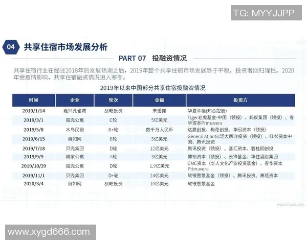 上海极限运动队状态全景解析及各队表现对比分析