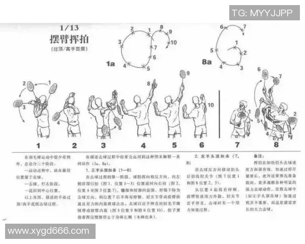 从零基础到高手之路羽毛球节奏与技巧全方位指南