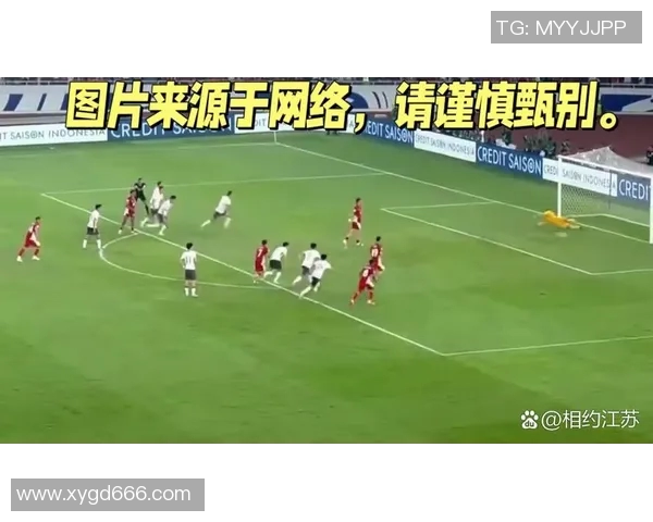 中国足球明星因遮挡号牌引发争议社交媒体热议其行为背后的影响与责任